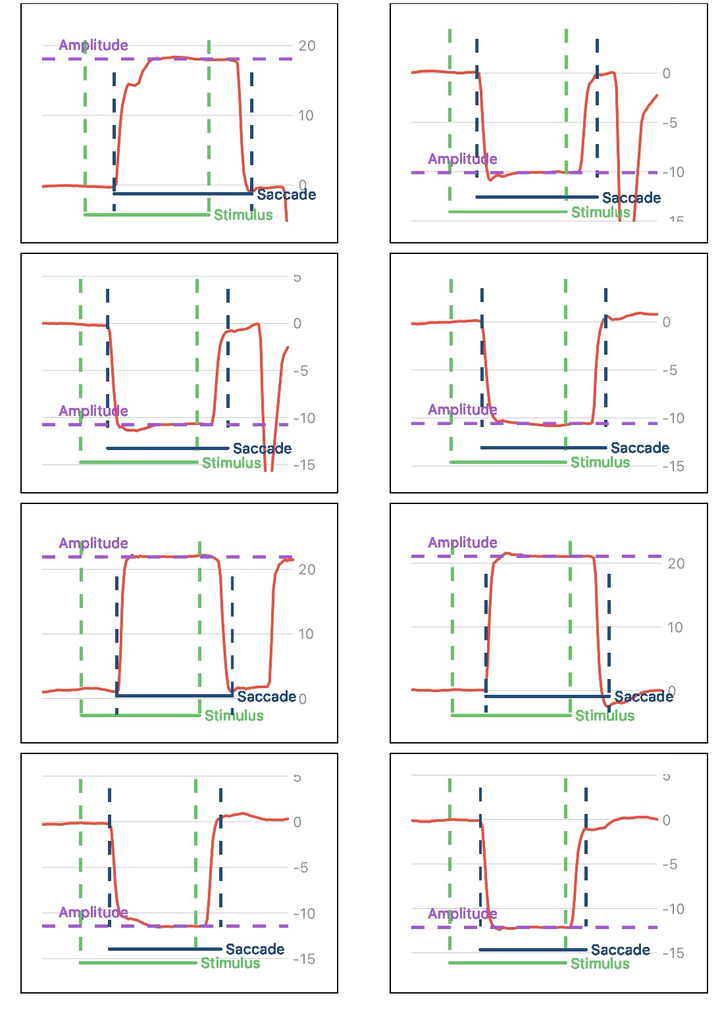 Vérification et sélection des saccades avant analyse.